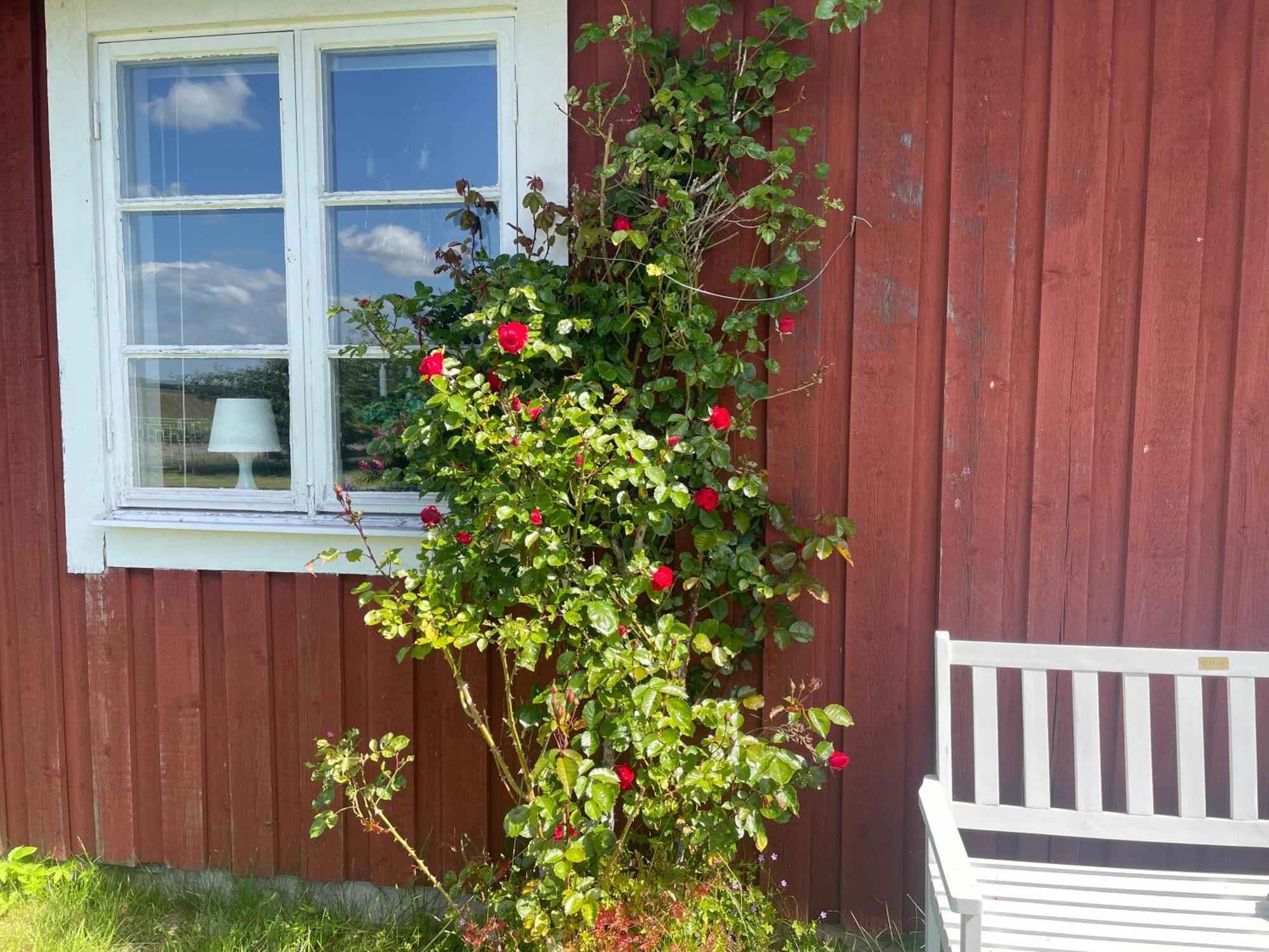 Kapelludden Oestra Oeland Villa Kopingsvik Ngoại thất bức ảnh